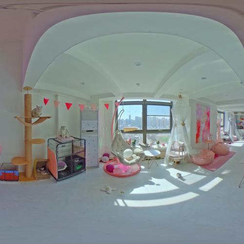 Pure cats house